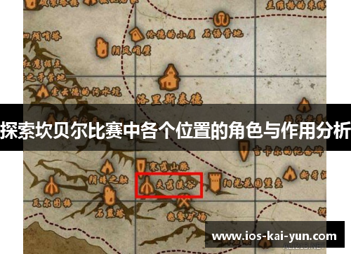 探索坎贝尔比赛中各个位置的角色与作用分析