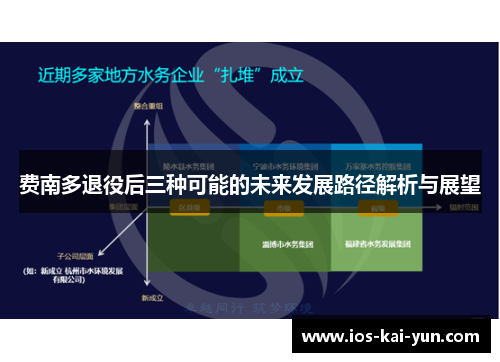 费南多退役后三种可能的未来发展路径解析与展望