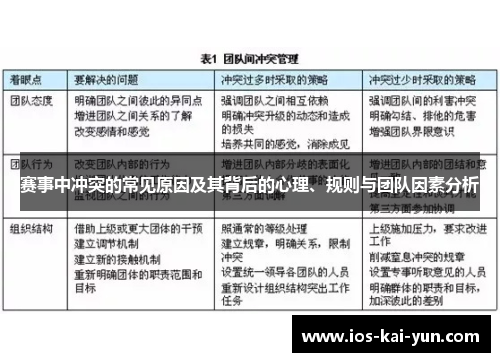 赛事中冲突的常见原因及其背后的心理、规则与团队因素分析